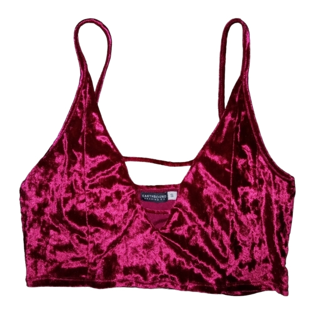 EARTHBOUND TRADING Co. burgundy crop top/bralette